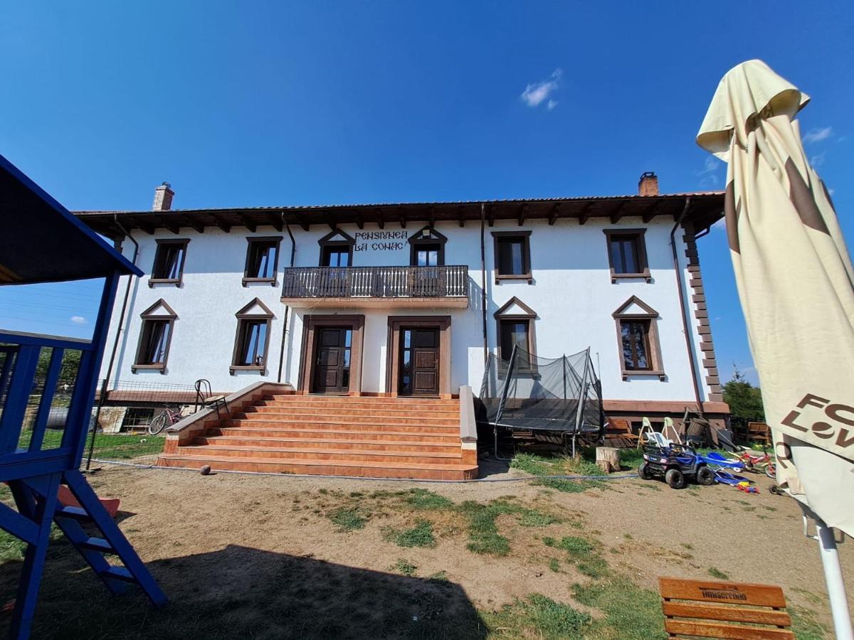 Pensiunea La Conac Birlad Bagian luar foto